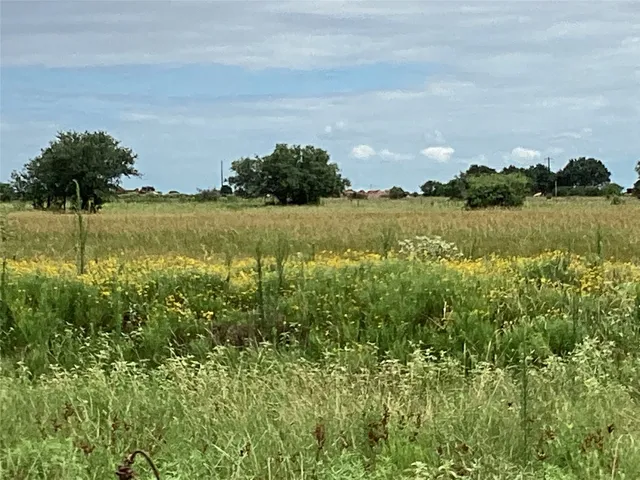 a view of a yard with an outdoor space