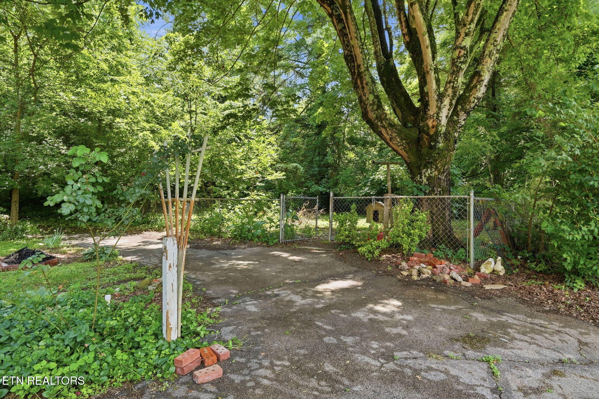3992 Highway 92 Rutledge, TN 37861 - Photo 33 of 34 a backyard of a house with lots of green space