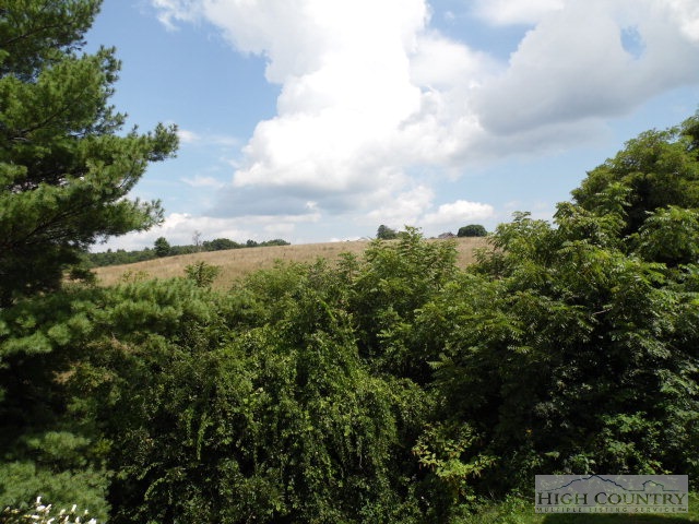 306 Caudill Road Glade Valley, NC 28627 - Photo 2 of 39 Gallery Image 2