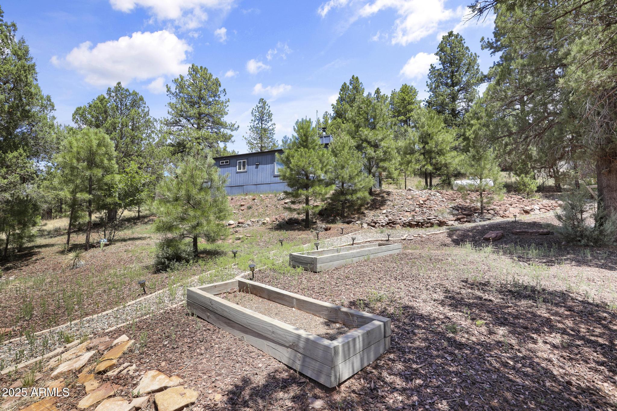 254 Blackfoot Road Payson, AZ 85541 - Photo 25 of 31 a view of a yard with trees