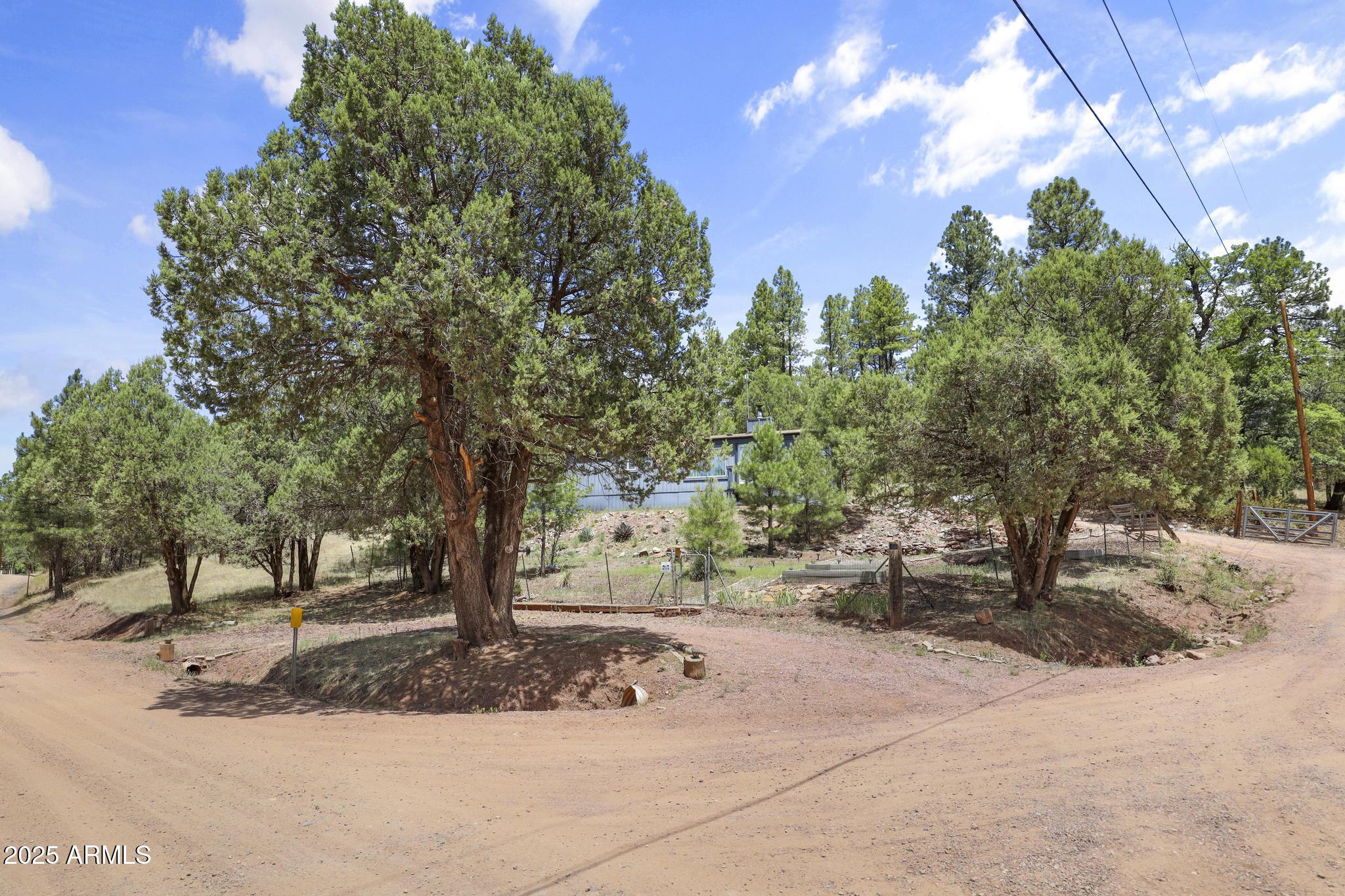 254 Blackfoot Road Payson, AZ 85541 - Photo 26 of 31 a view of a tree with a yard
