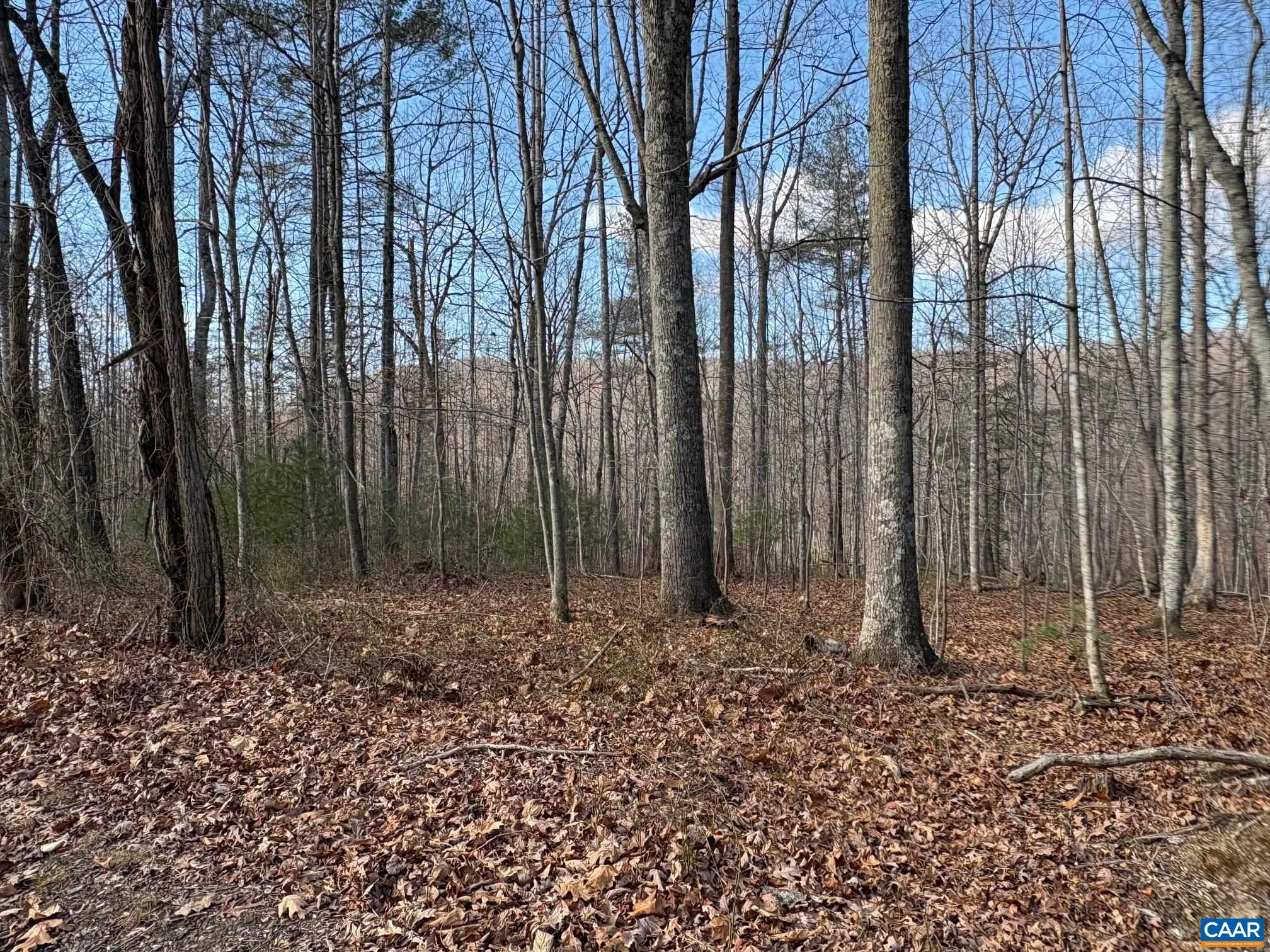 23-5a Mitchell Mountain Road Reva, VA 22735 - Photo 15 of 16 Views