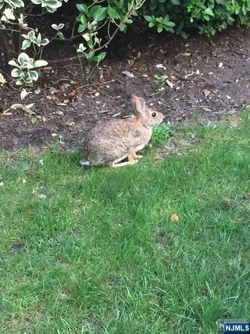 $2,100 | 280-320 Oak Street, Unit 306TG, Ridgewood, NJ 07450