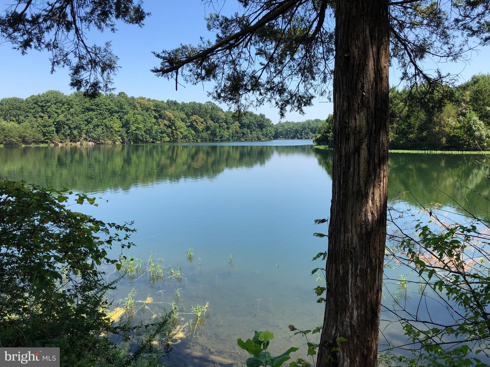 129 Towhee Drive Front Royal, VA 22630 - Photo 46 of 56