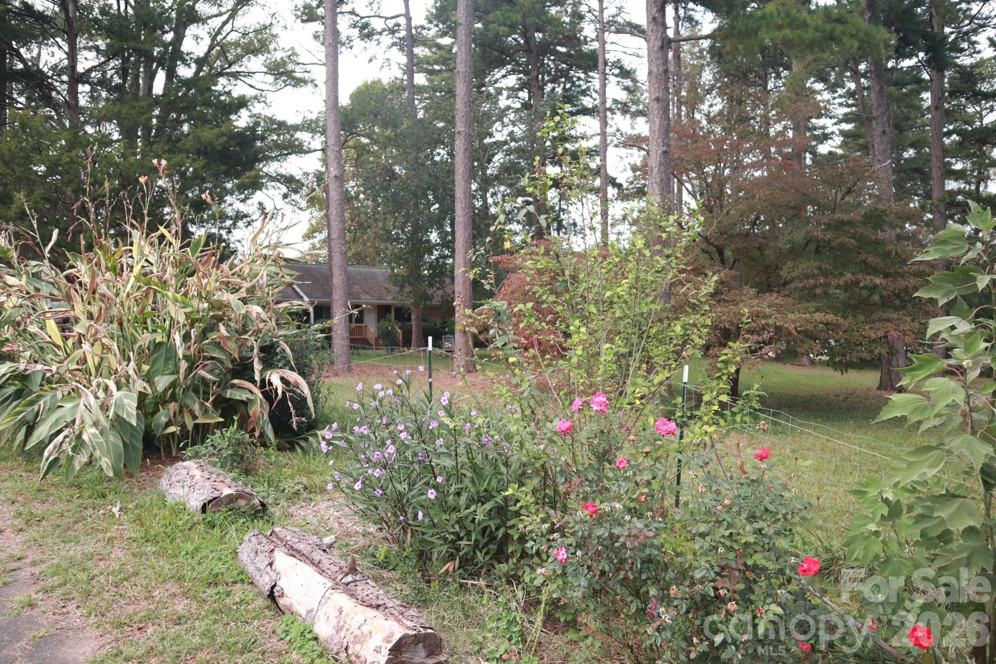 6721 Alanbrook Road Charlotte, NC 28215 - Photo 35 of 35