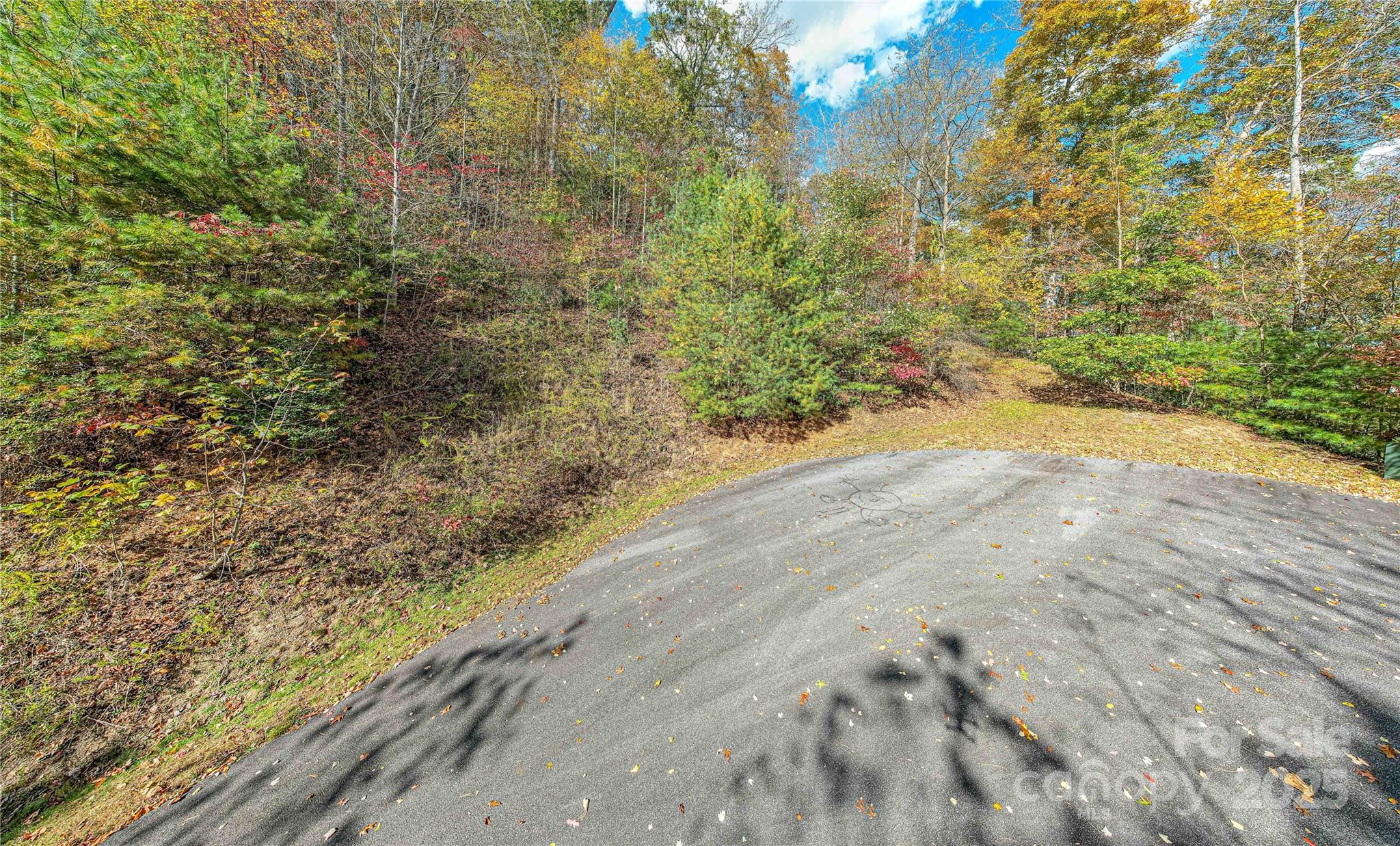 Tbd High Pt Trail, Unit 21 Brevard, NC 28712 - Photo 1 of 14 a view of a yard with trees in the background