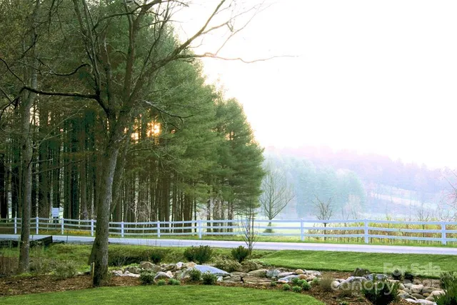a view of a big yard
