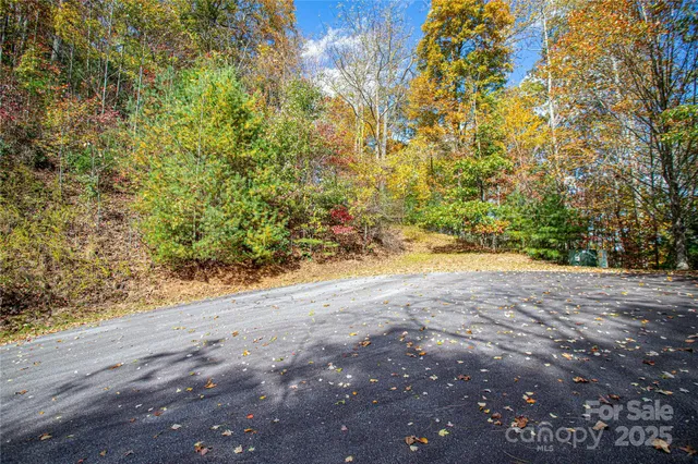 a view of a yard with a trees