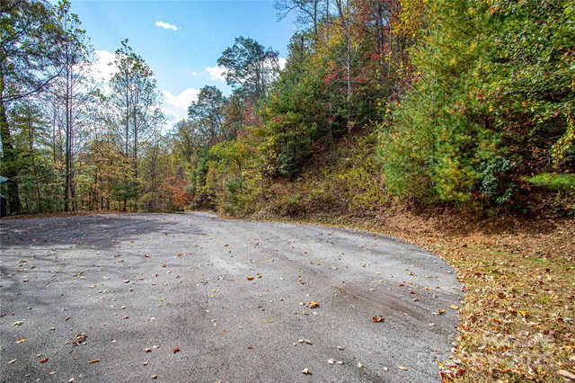 a view of a dirt road with trees in the background