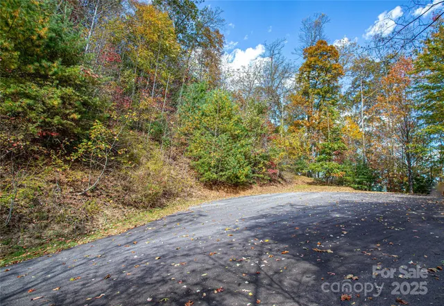 a view of a yard with a tree
