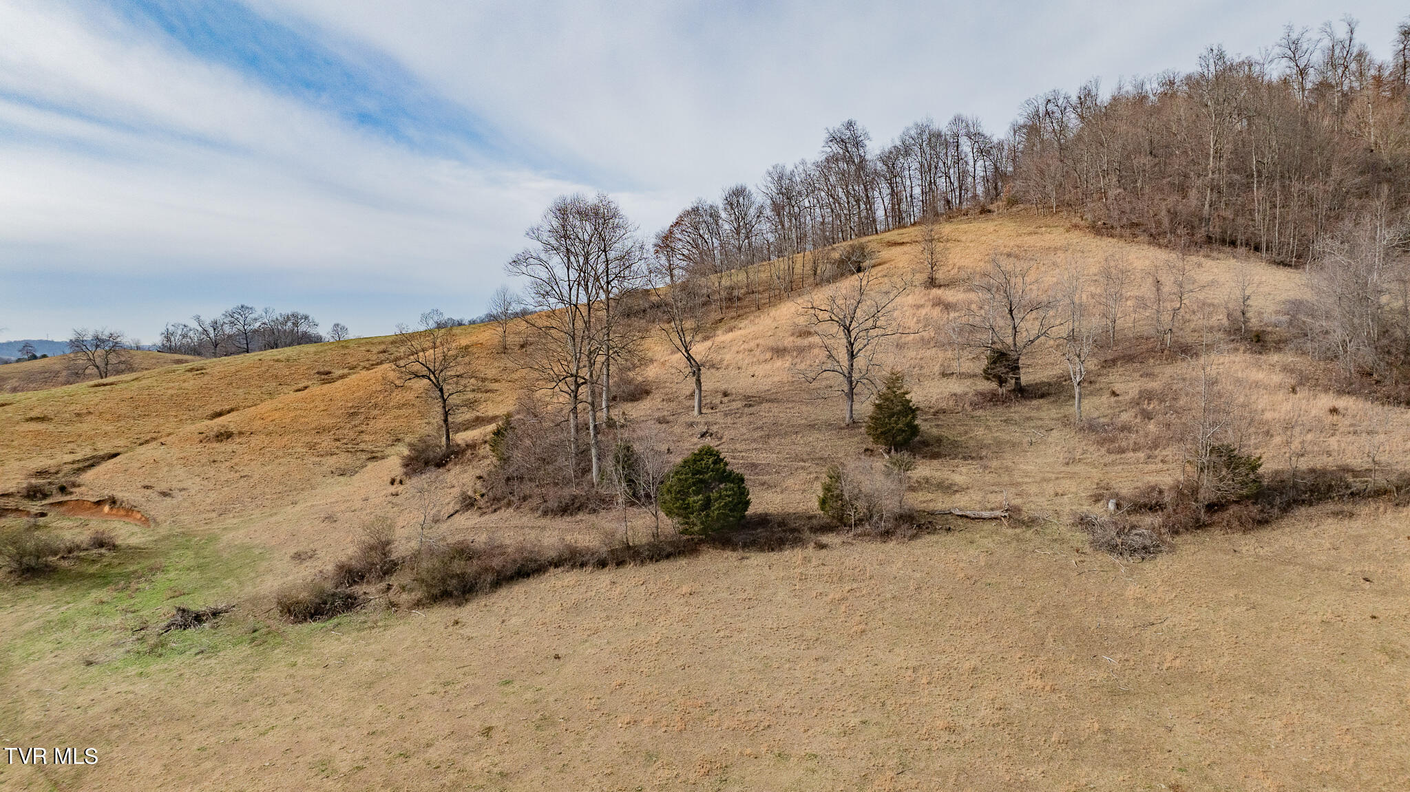 10313 Wyndale Road, Unit 2 Abingdon, VA 24210 - Photo 8 of 14 DJI_0124