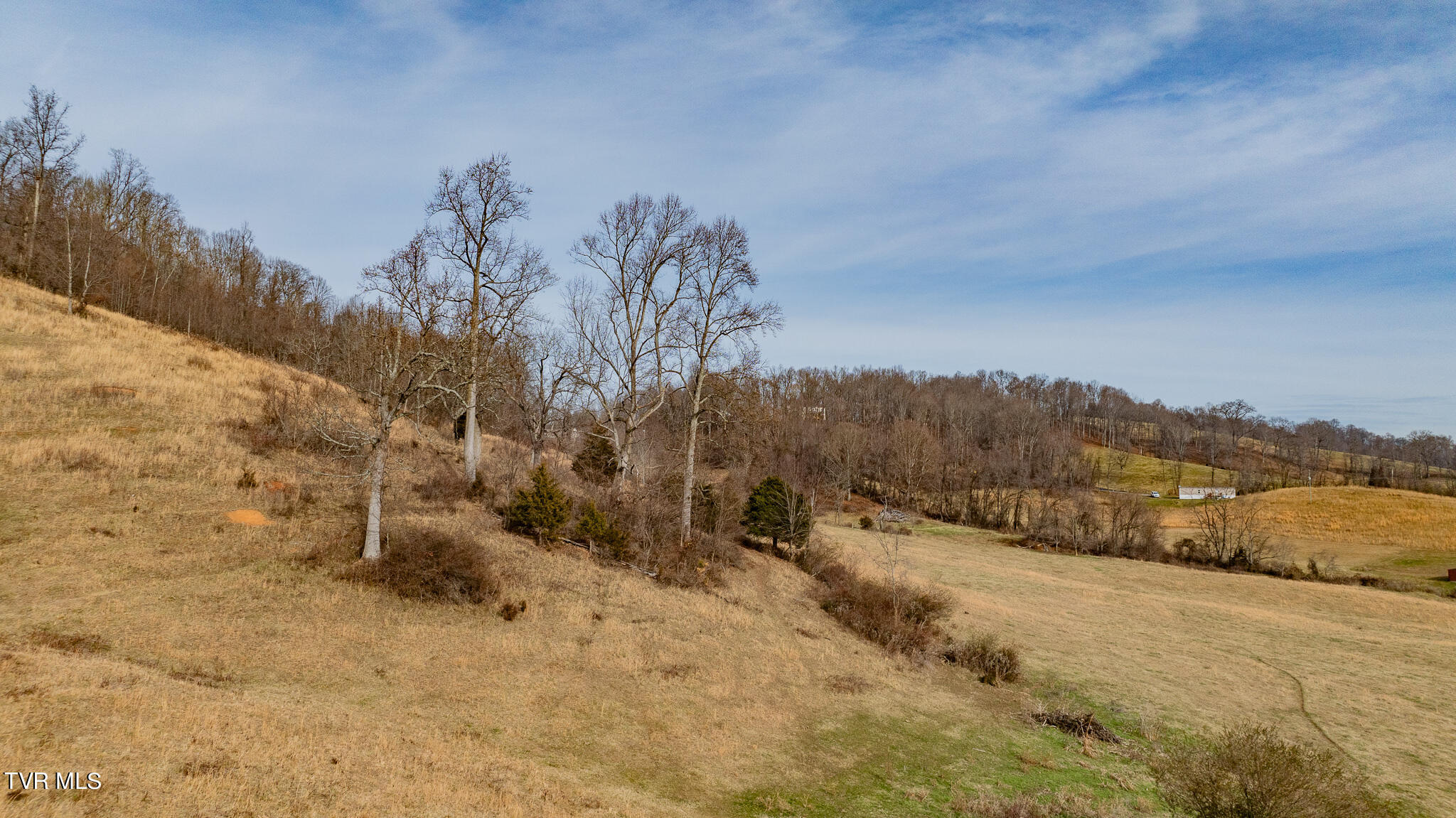 10313 Wyndale Road, Unit 2 Abingdon, VA 24210 - Photo 10 of 14 DJI_0134-2