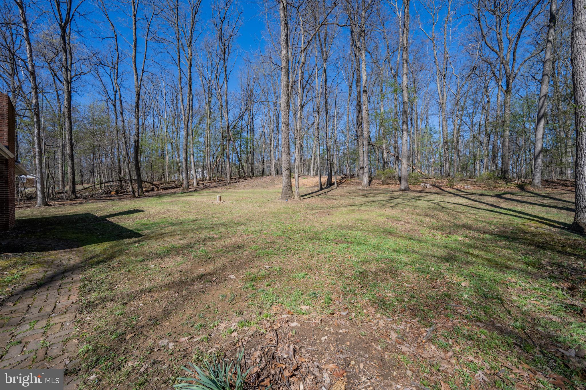 932 Western Chapel Road Westminster, MD 21157 - Photo 43 of 48 a view of a backyard with large trees