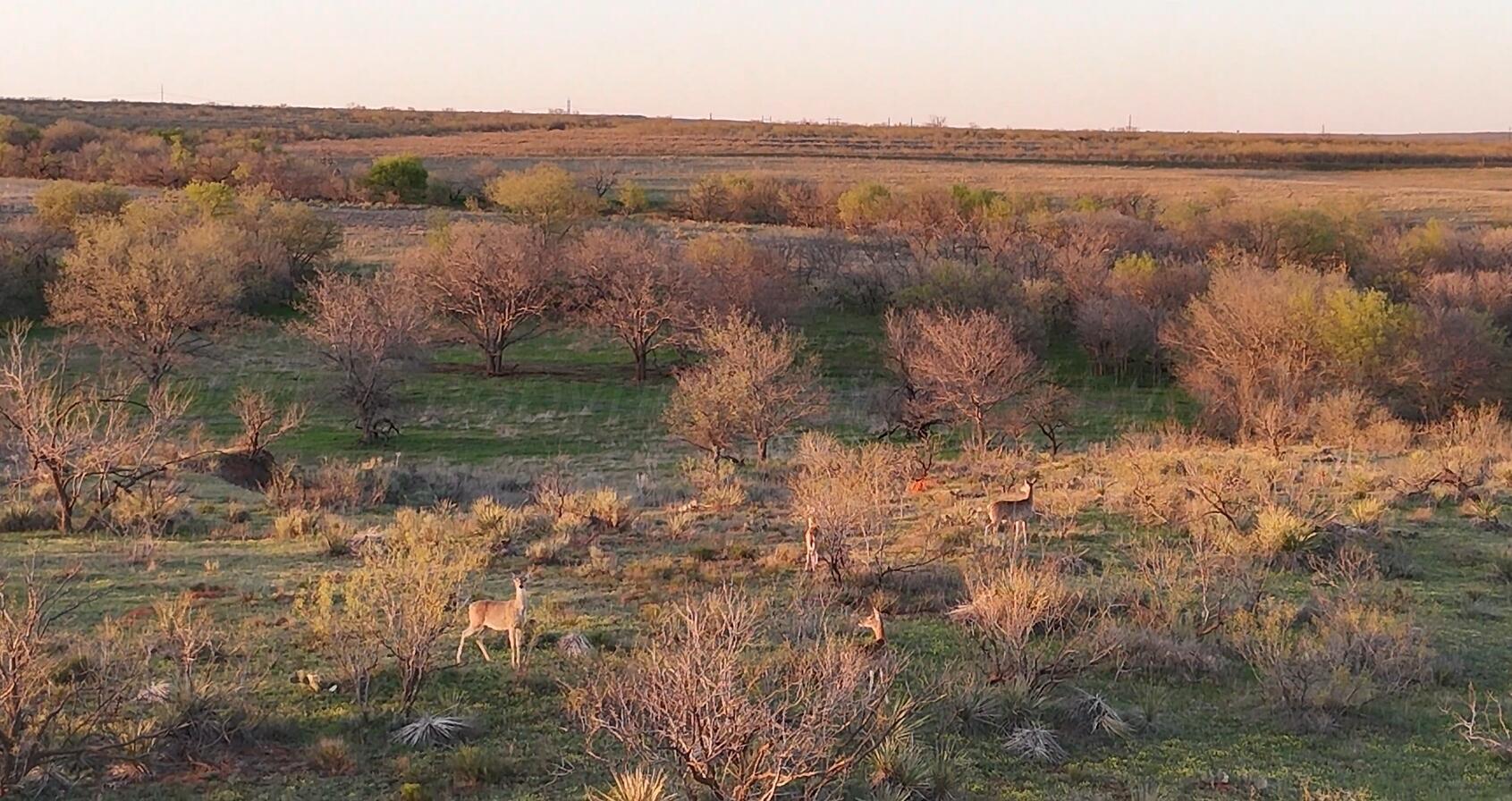 90 Co Road Memphis, TX 79245 - Photo 2 of 7 a view of lake with mountain
