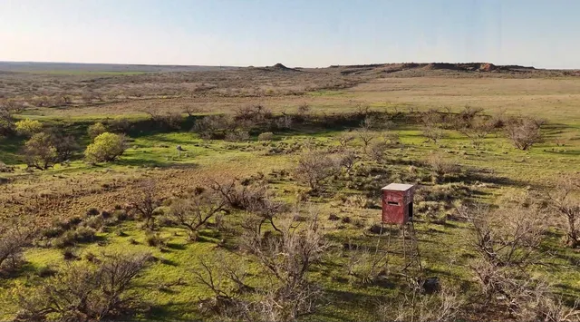 a view of a lake with a mountain