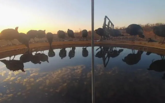 a view of balcony and patio