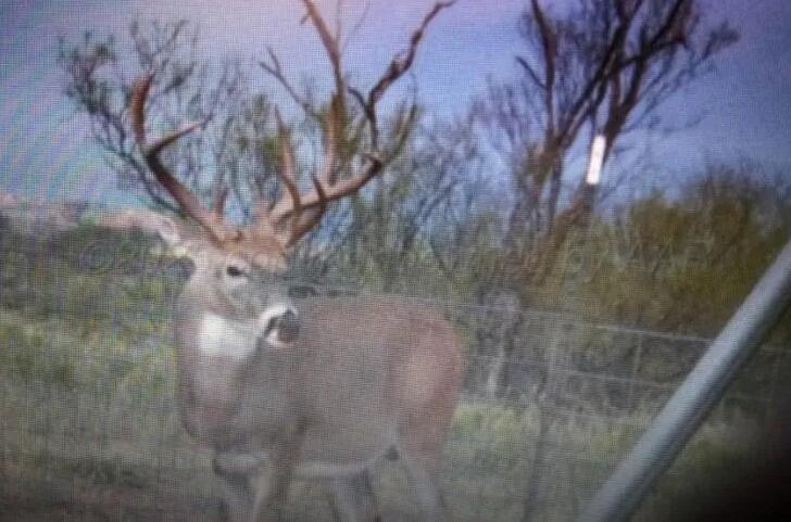 90 Co Road Memphis, TX 79245 - Photo 6 of 7 a view of a yard