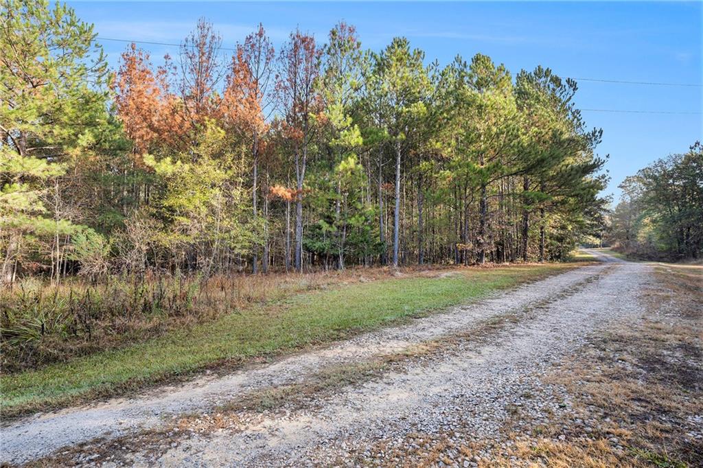 0 Dogwood Road South Union Point, GA 30669 - Photo 14 of 30 a view of a park with large trees