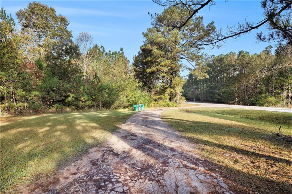 0 Dogwood Road South Union Point, GA 30669 - Photo 21 of 30 a view of yard with large trees