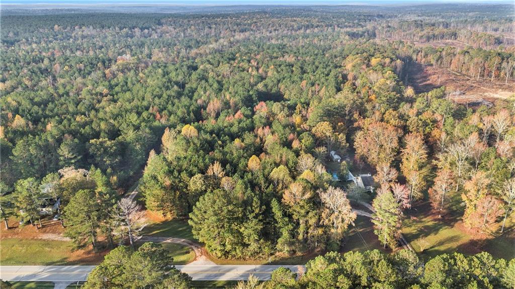 0 Dogwood Road South Union Point, GA 30669 - Photo 24 of 30 a view of a forest with a tree