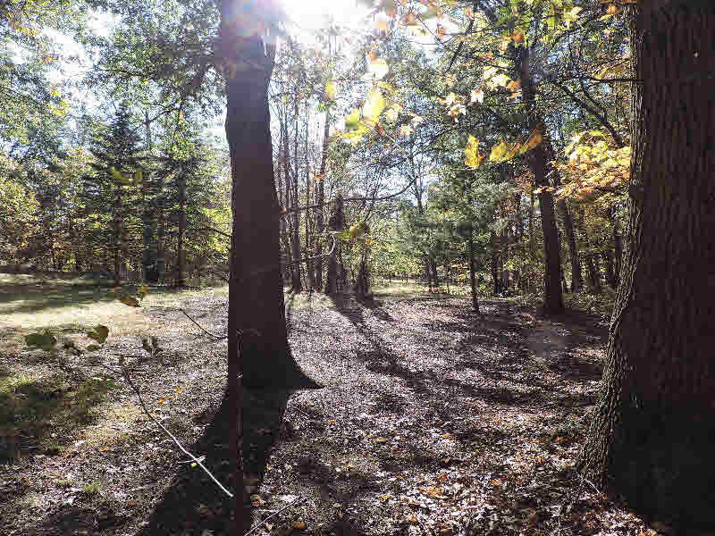 3637 North Tower Beach Road Pinconning, MI 48650 - Photo 29 of 31 Gallery Image 29