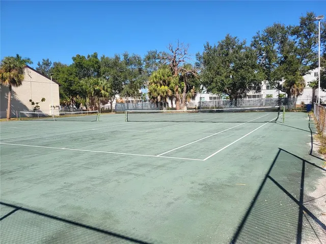 a view of a tennis ground with large trees