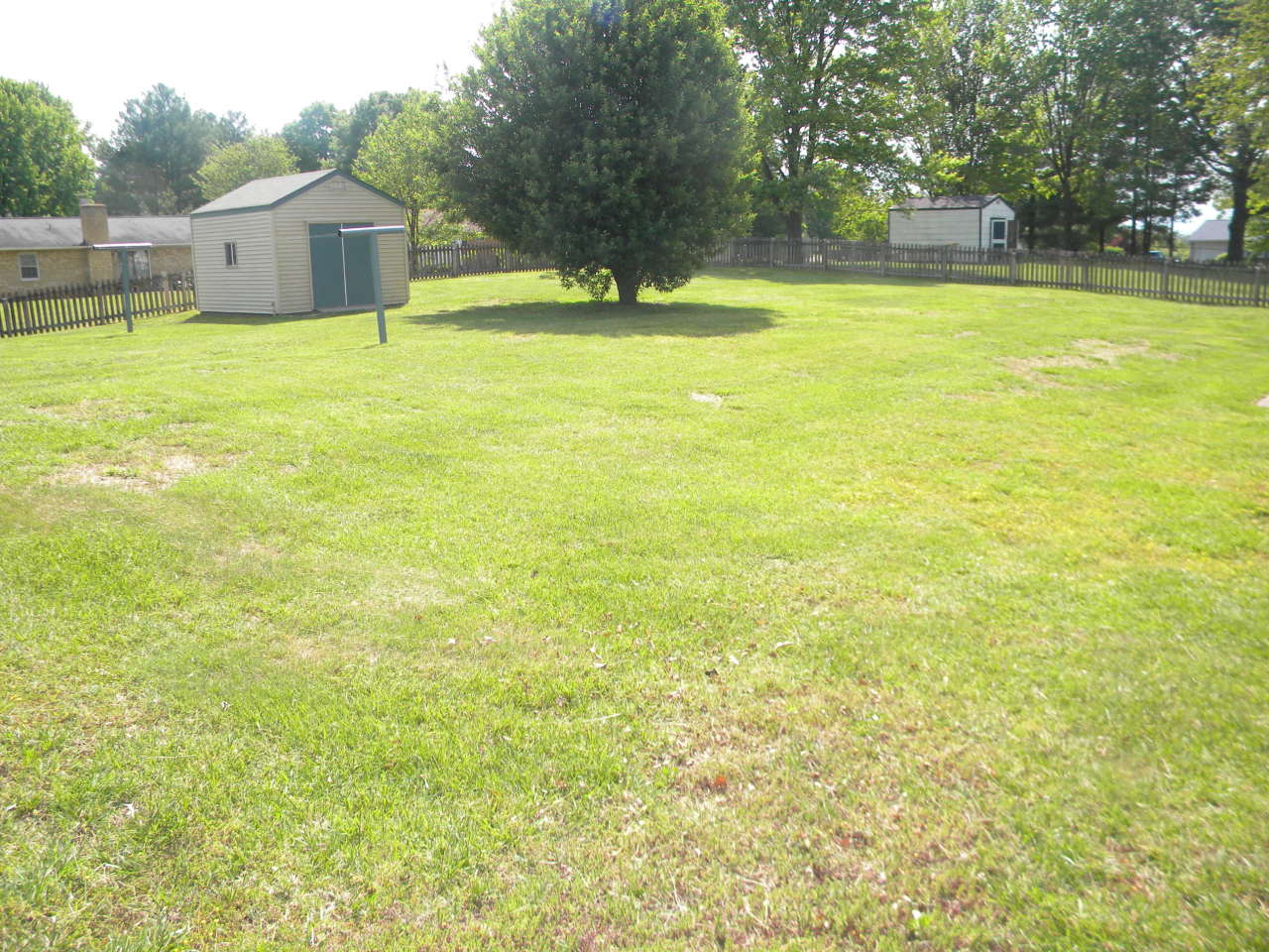 215 Apple Tree Road Roanoke, VA 24019 - Photo 11 of 13 Backyard