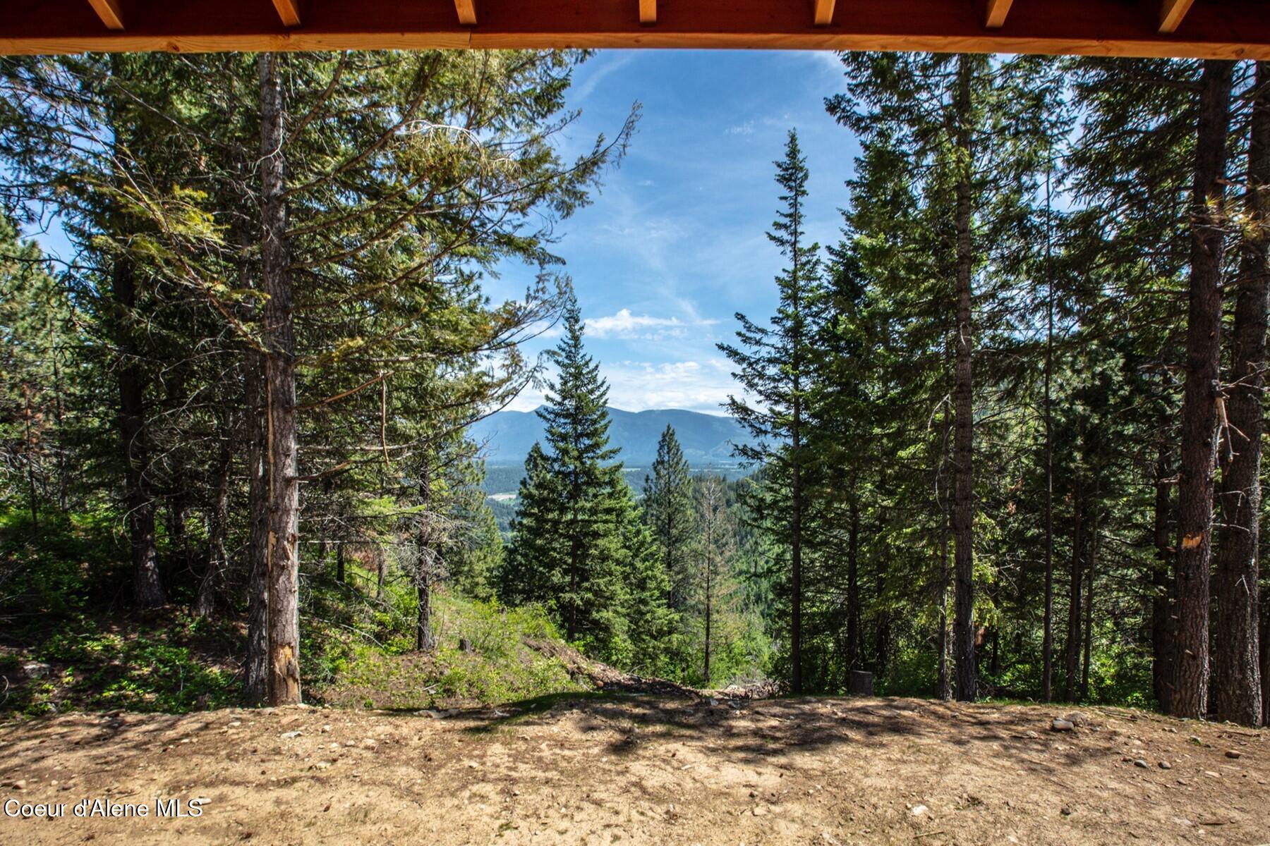 69 Boreal Way Naples, ID 83847 - Photo 15 of 85 The Home