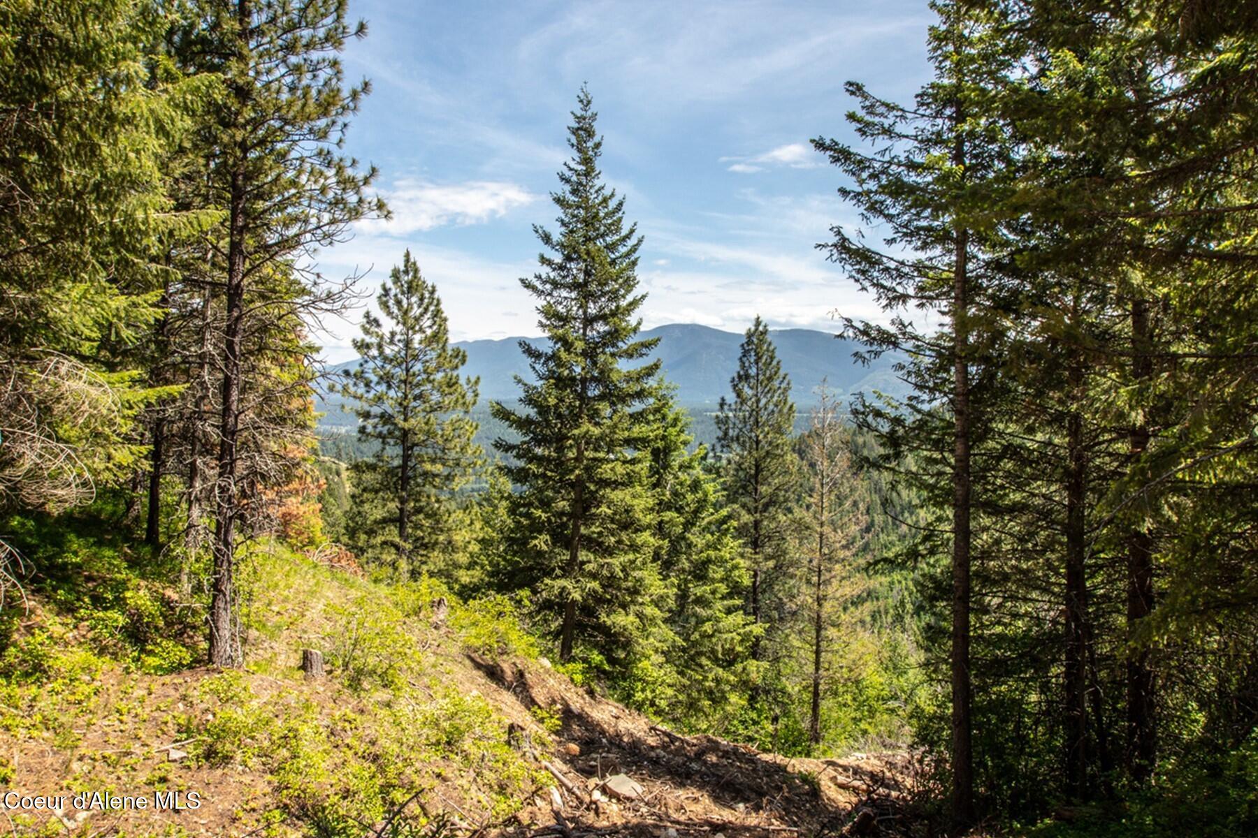 69 Boreal Way Naples, ID 83847 - Photo 17 of 85 The Home