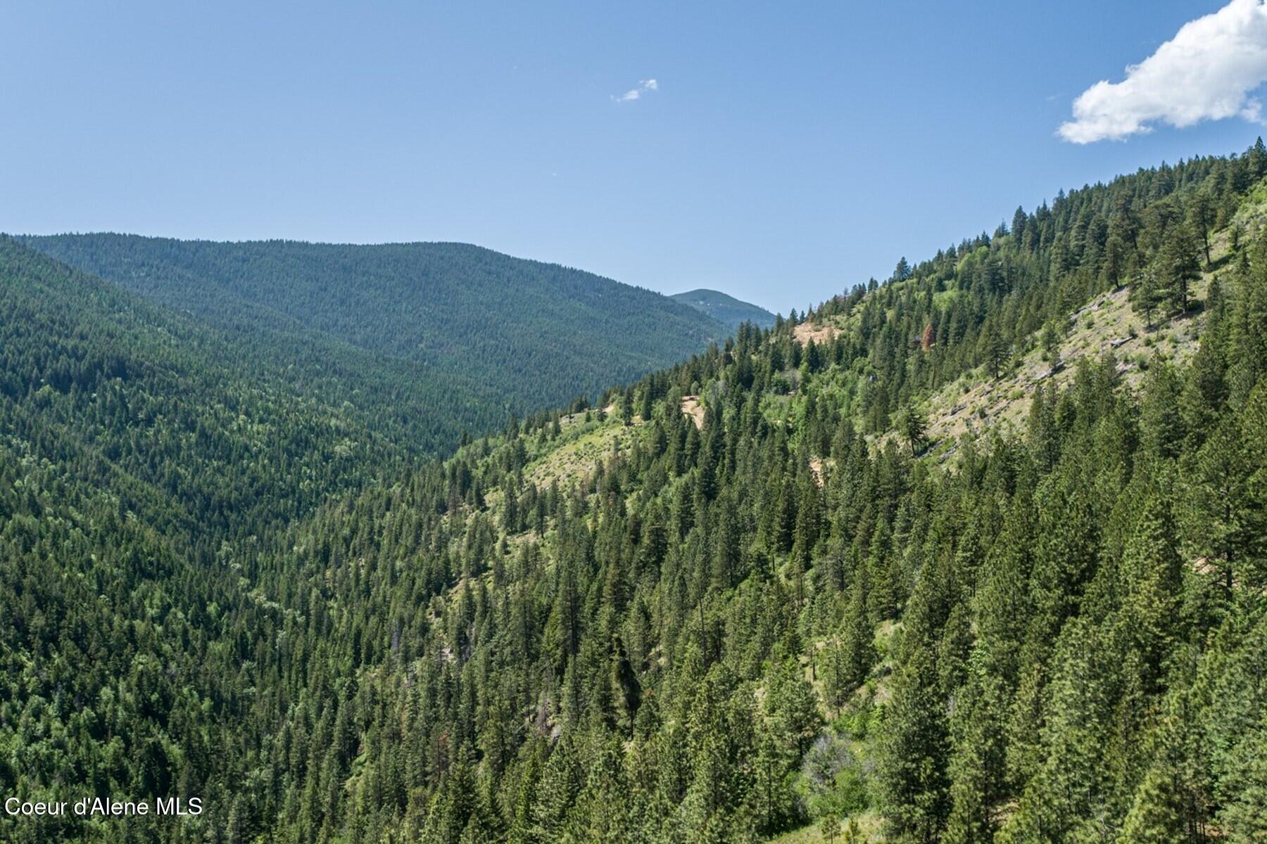 69 Boreal Way Naples, ID 83847 - Photo 38 of 85 Naples 160 Acres3