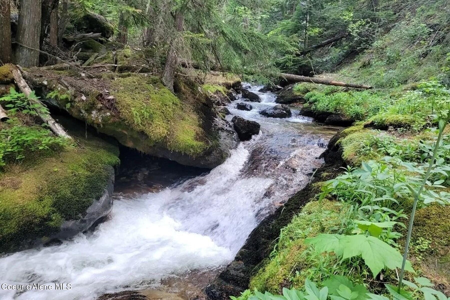 69 Boreal Way Naples, ID 83847 - Photo 5 of 85 Caribou Creek