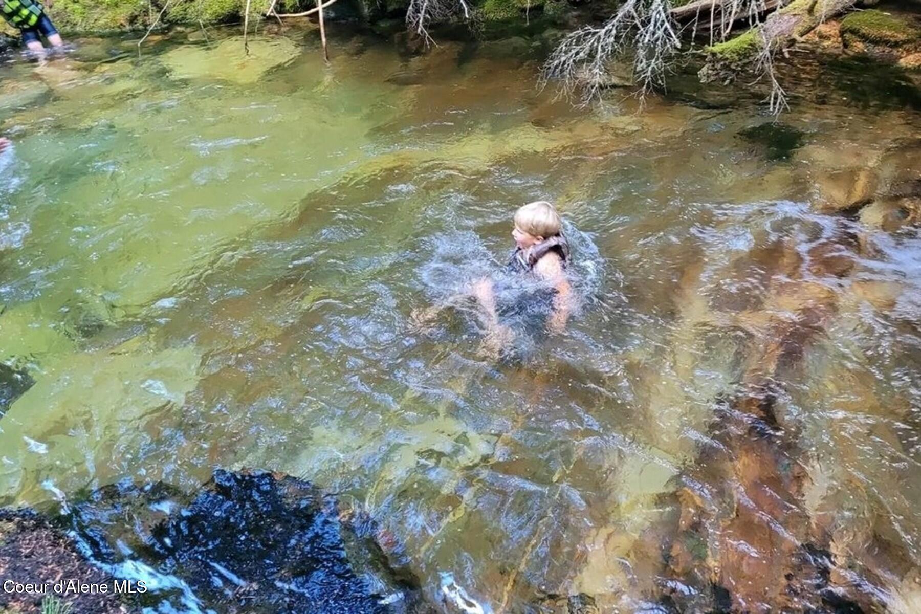 69 Boreal Way Naples, ID 83847 - Photo 6 of 85 Swimming Hole