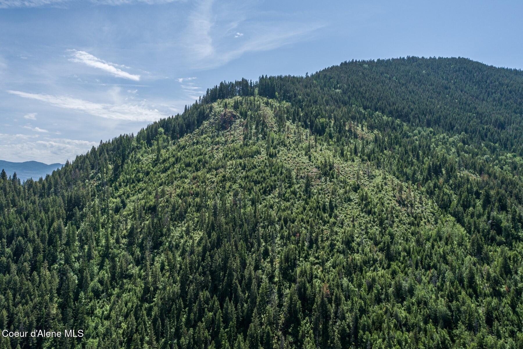 69 Boreal Way Naples, ID 83847 - Photo 9 of 85 The Property