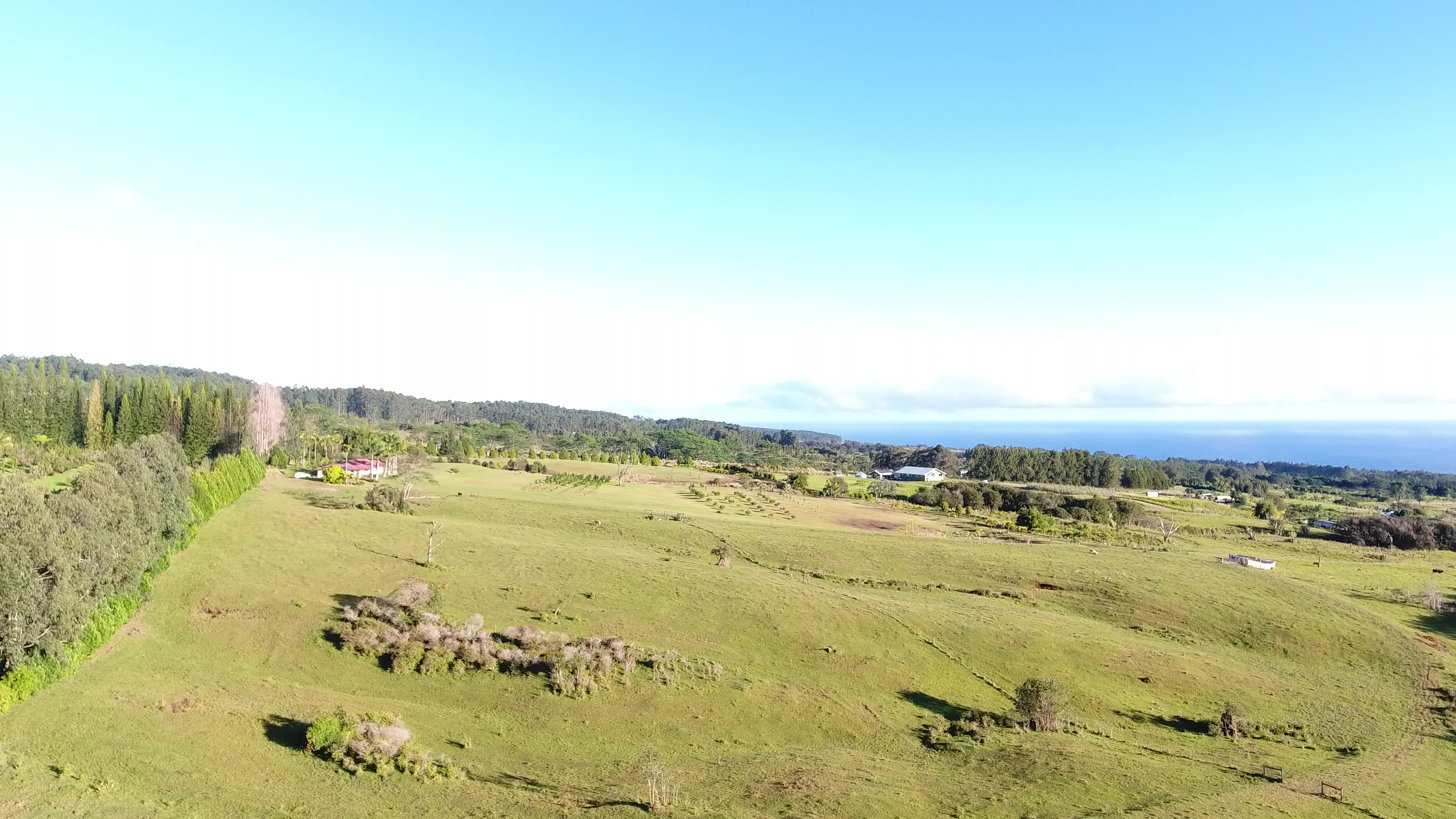 Kaiwiki Homestead Road Papaikou, HI 96781 - Photo 2 of 13 a view of an ocean beach