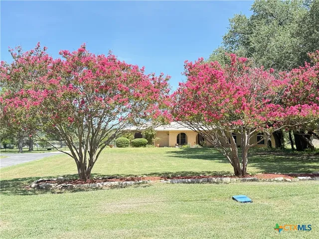 a view of a garden with flowers and trees