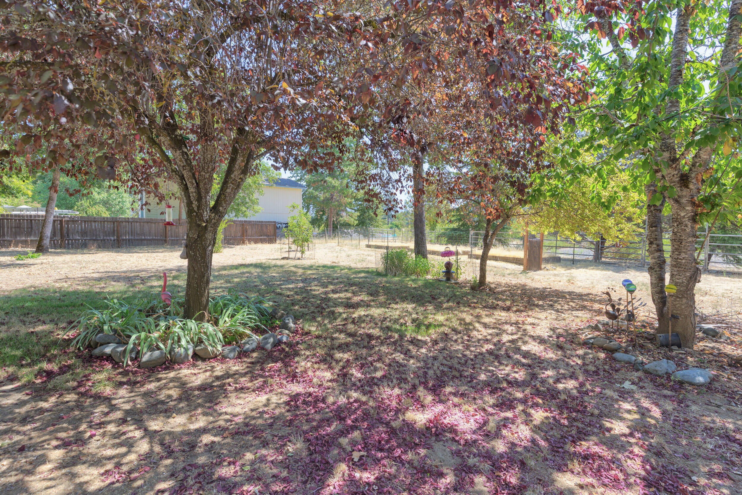 427 Connie Lane Merlin, OR 97532 - Photo 22 of 46 0r1a5489_90_91_92_93_1