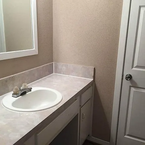 a bathroom with a sink and a mirror