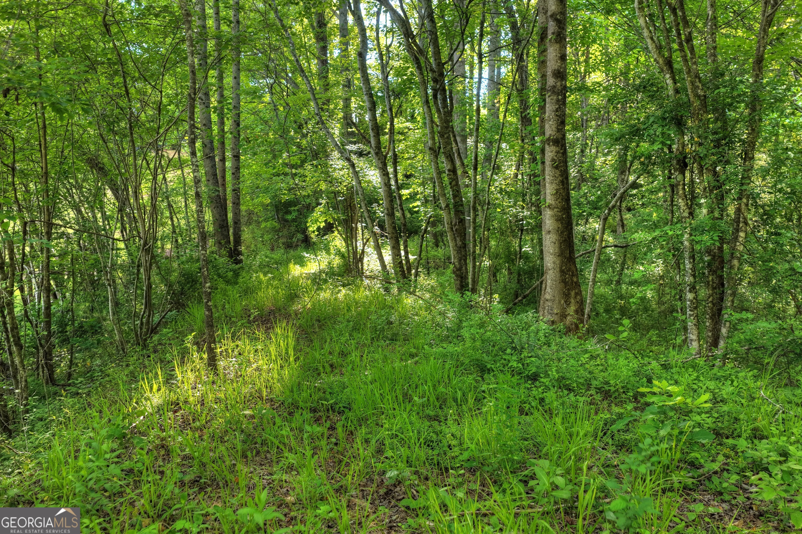 8-ac Mcnelley Road Morganton, GA 30560 - Photo 22 of 47