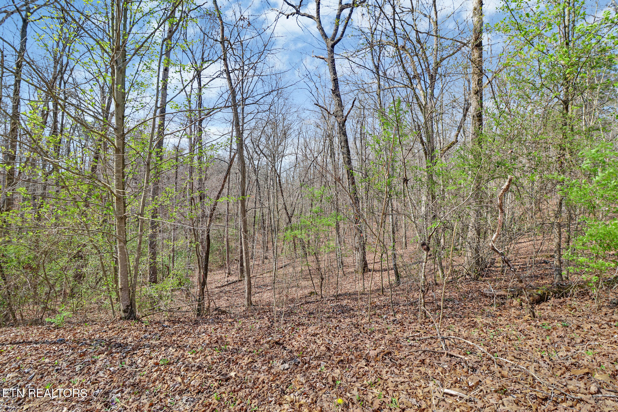 Thompson Road Crossville, TN 38571 - Photo 3 of 14 if1a5588-if1a5592