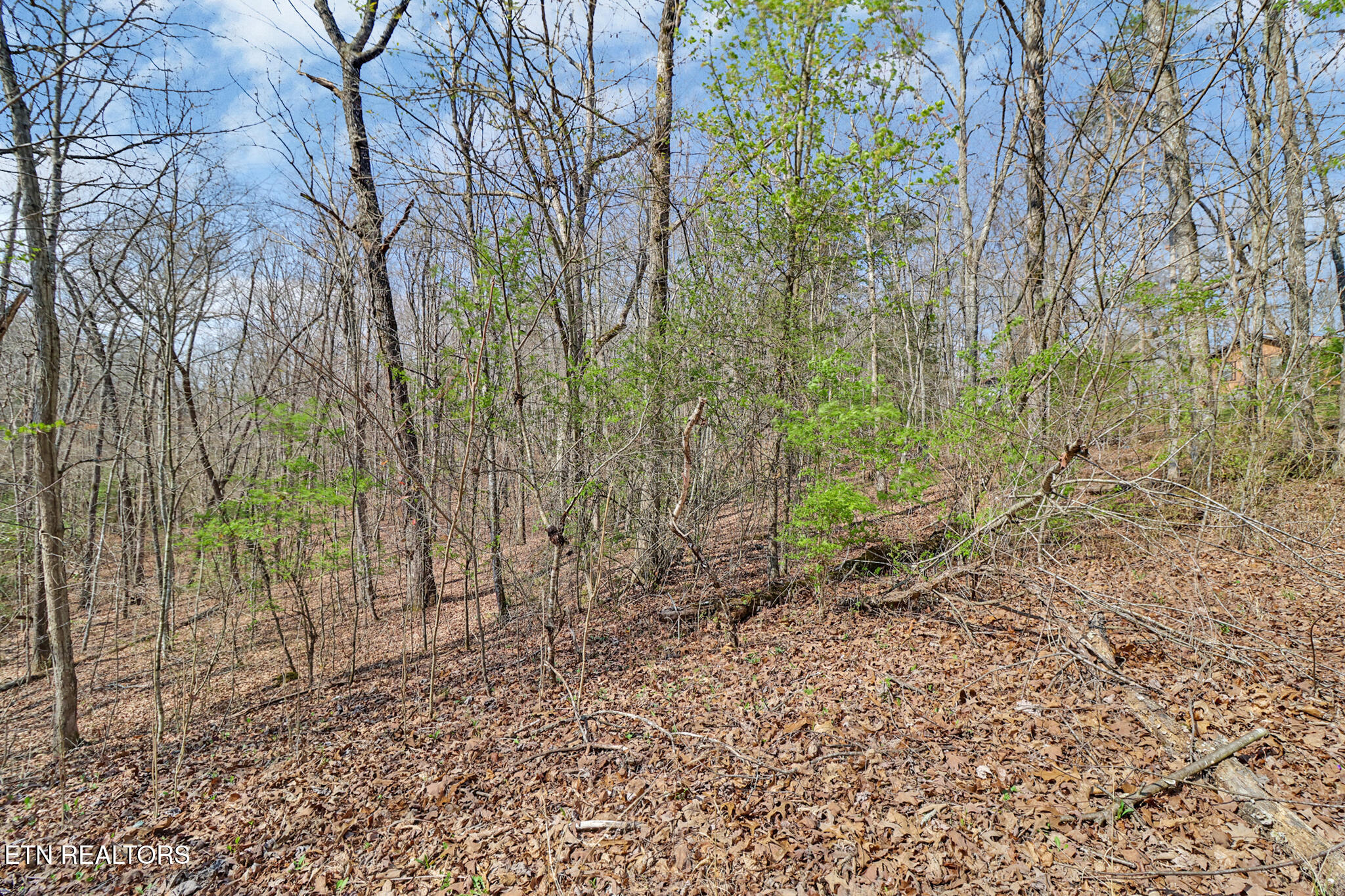 Thompson Road Crossville, TN 38571 - Photo 4 of 14 if1a5593-if1a5597