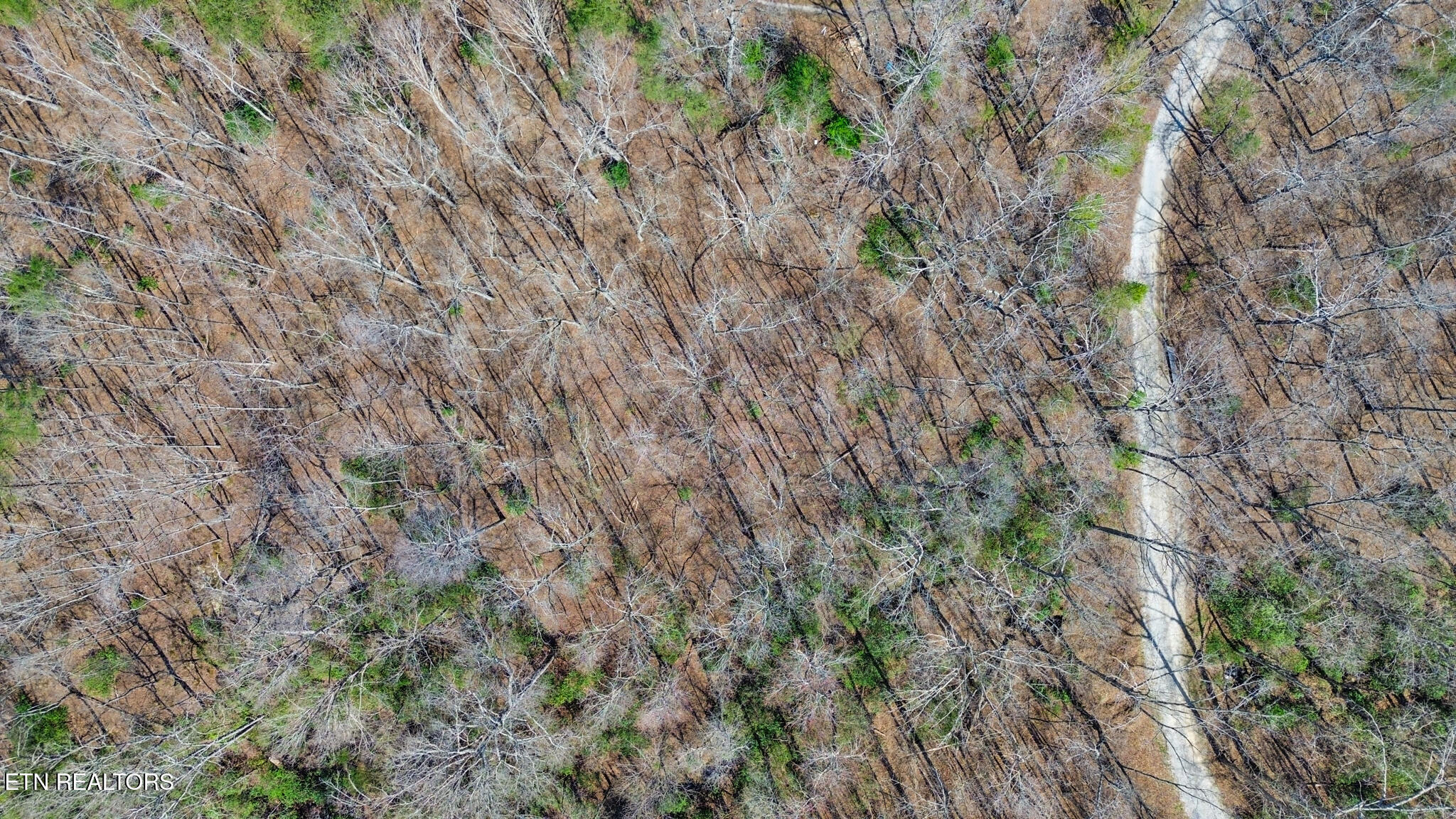 Thompson Road Crossville, TN 38571 - Photo 9 of 14 dji_0087-dji_0089