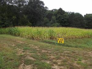 25-ac Dallas Avenue Sparta, WI 54656 - Photo 1 of 1 004 (500x375)