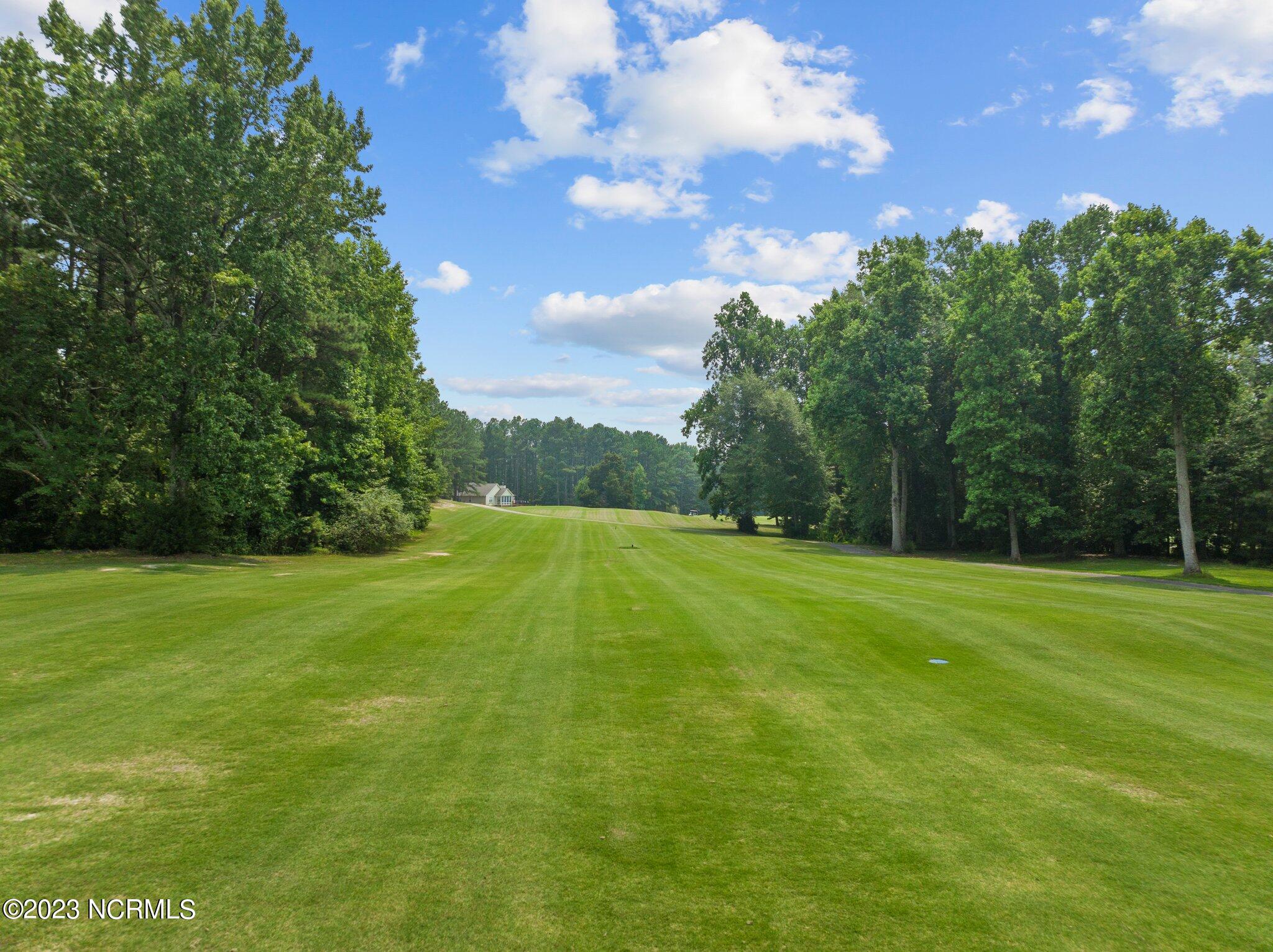 3976 Niagara Carthage Road Carthage, NC 28327 - Photo 51 of 57 51-web-or-mls-DJI_0967