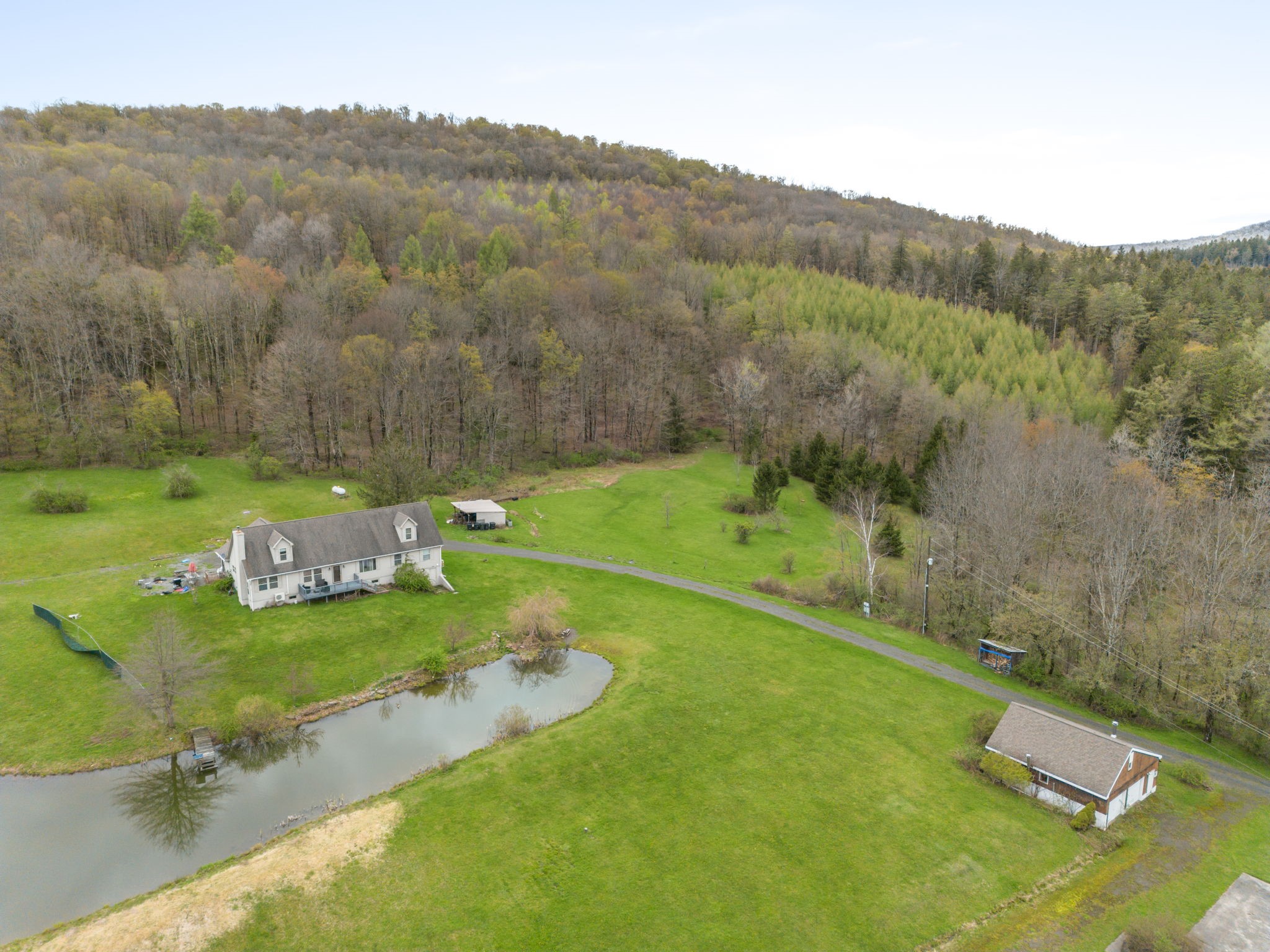 1035 Schofield Road Deposit, NY 13754 - Photo 47 of 49