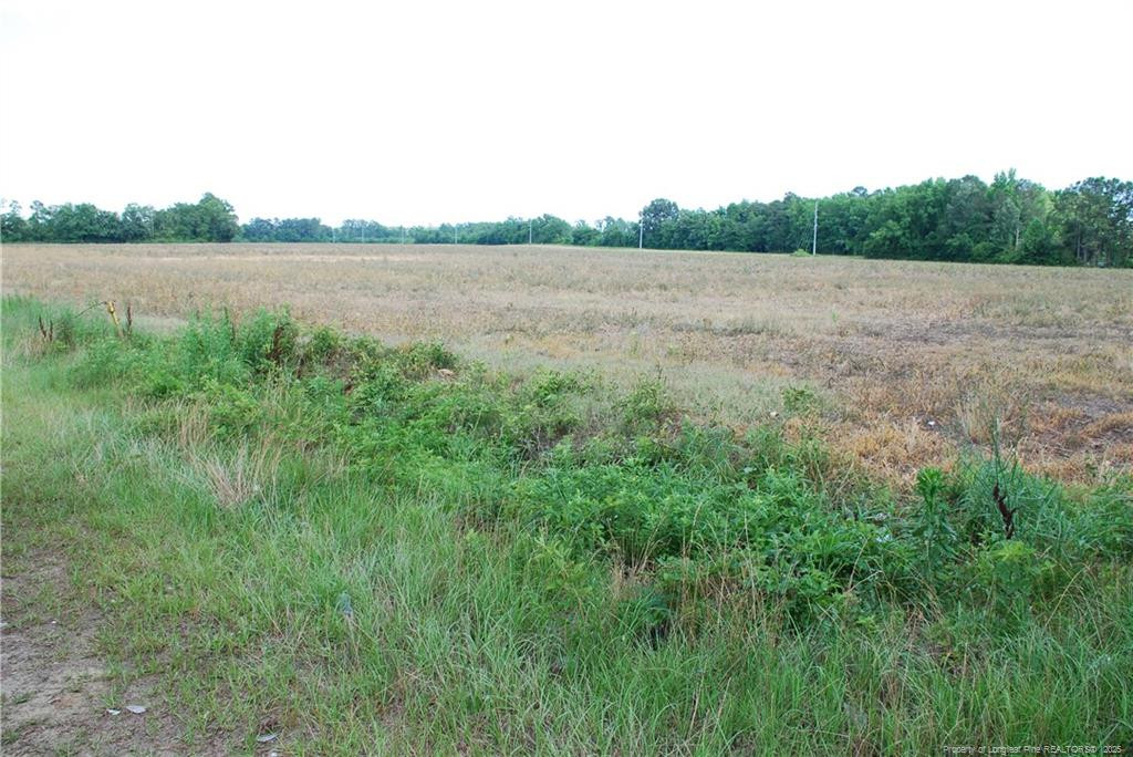 2000 Meadow Road Lumberton, NC 28358 - Photo 13 of 15 Photo 13