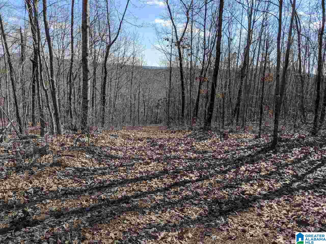 1731 Bolton Road Talladega, AL 35160 - Photo 20 of 46