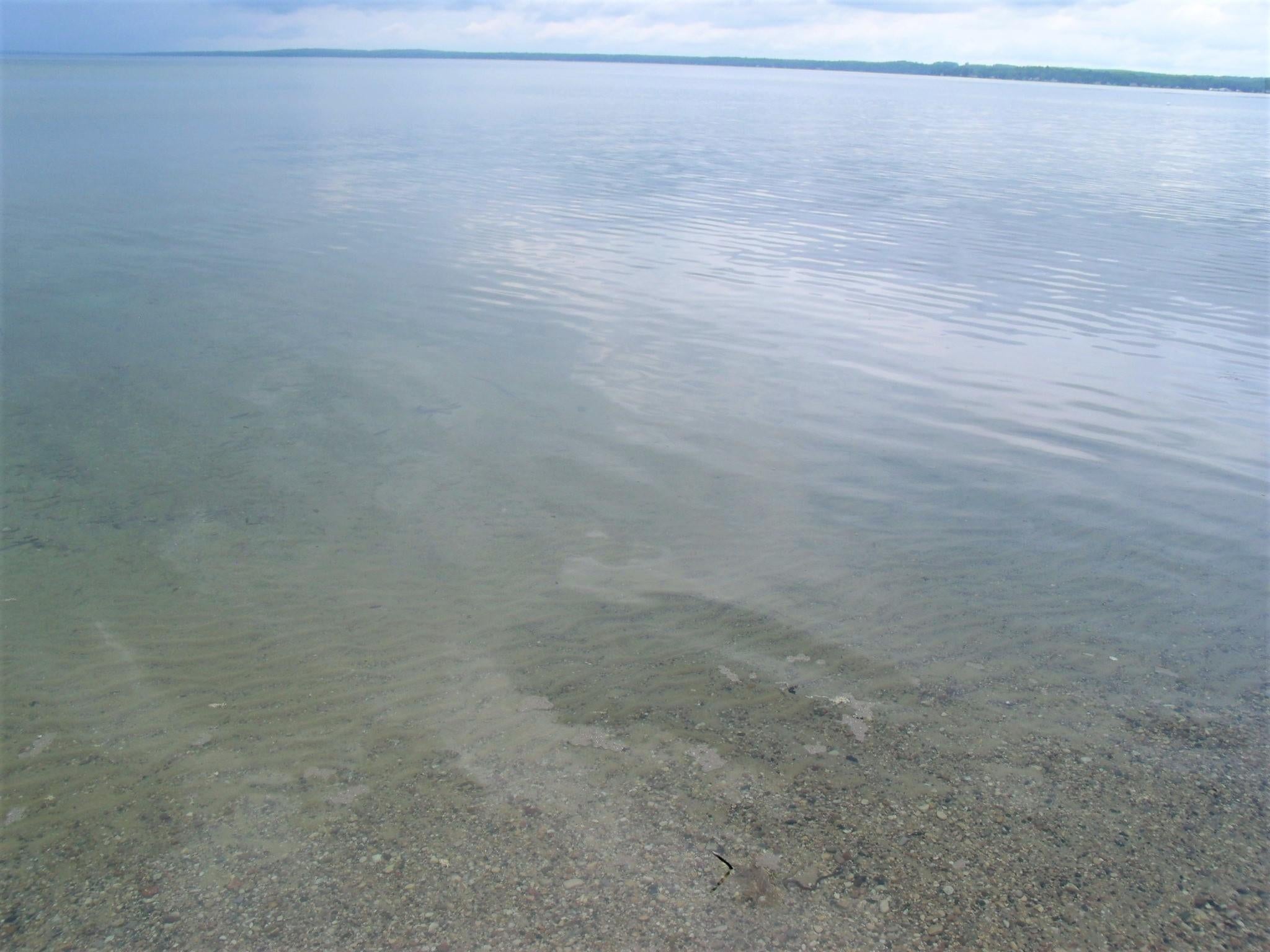 7131 McDonald Road Cheboygan, MI 49721 - Photo 17 of 34 Gallery Image 17