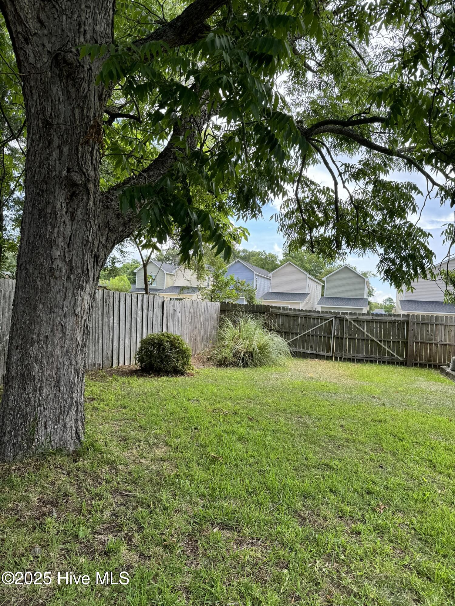 1309 South 7th Street Wilmington, NC 28401 - Photo 18 of 20 18