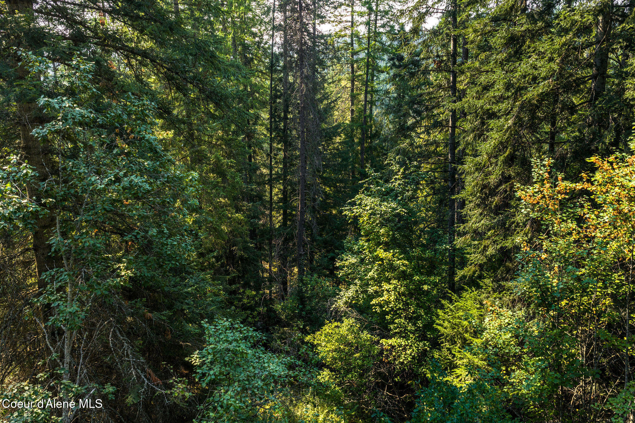 720 Dirks Road Priest River, ID 83856 - Photo 12 of 31 Land