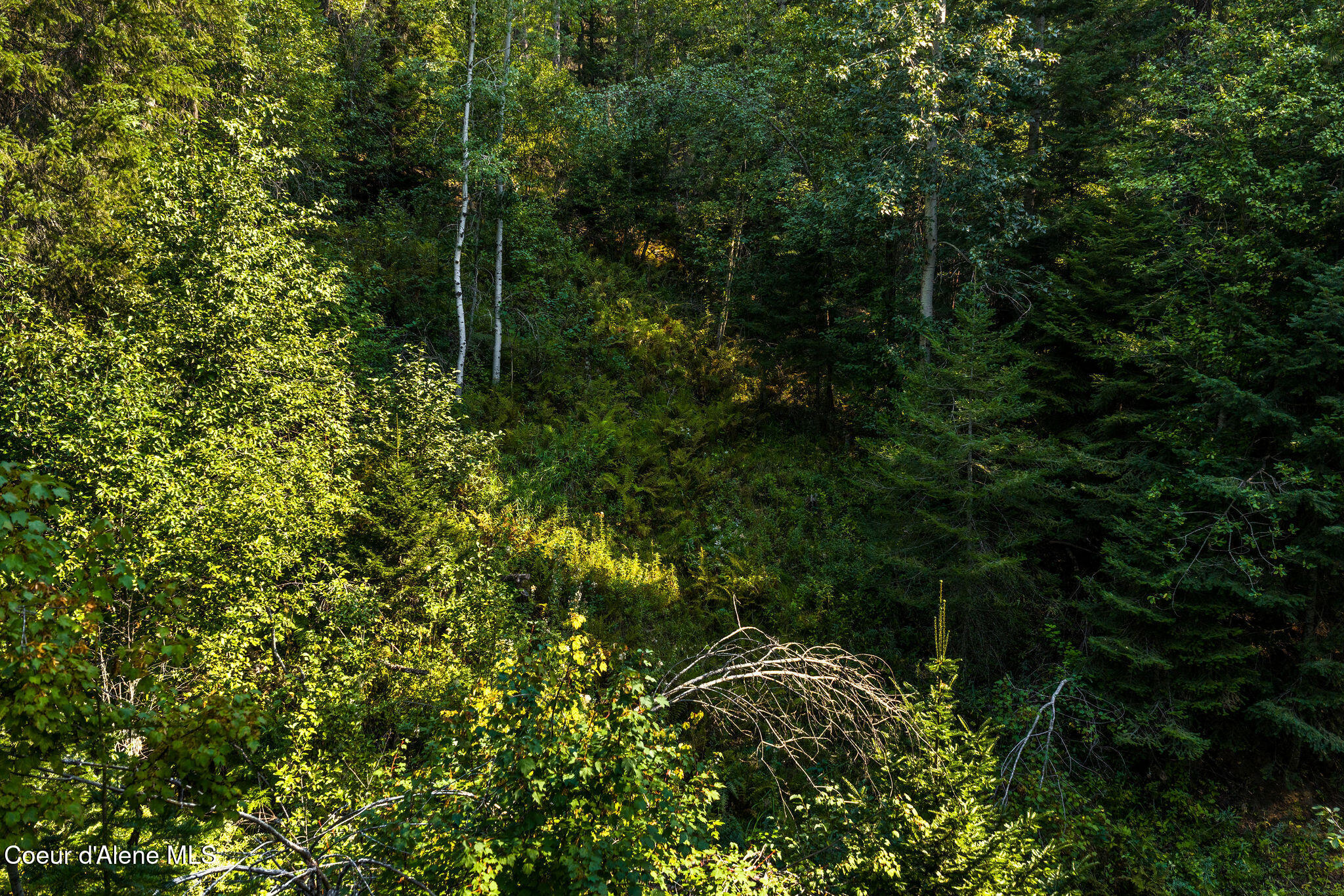 720 Dirks Road Priest River, ID 83856 - Photo 13 of 31 Land